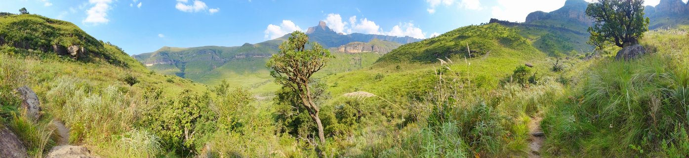 Panoramic view of green rolling hills in a mountain valley with rocky Drakensberg peaks in the background under blue sky with white clouds