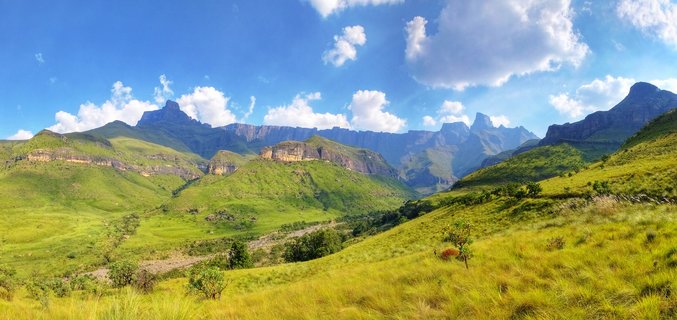Panoramic landscape showing green rolling hills in the foreground leading to dramatic mountain cliffs and peaks of the Drakensberg range under a blue sky with white clouds