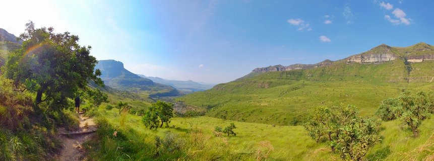 A panoramic view of green mountain valley in Drakensberg with hiking trail, scattered trees, and rocky cliff escarpment under blue sky