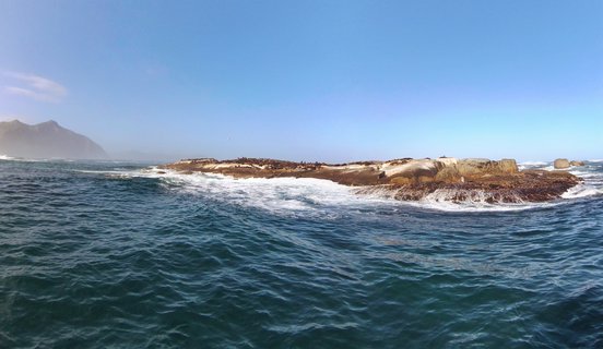 View from a boat showing The Sentinel mountain peak in Hout Bay, Cape Town, with blue ocean water, rocky coastline with seals, and clear sky