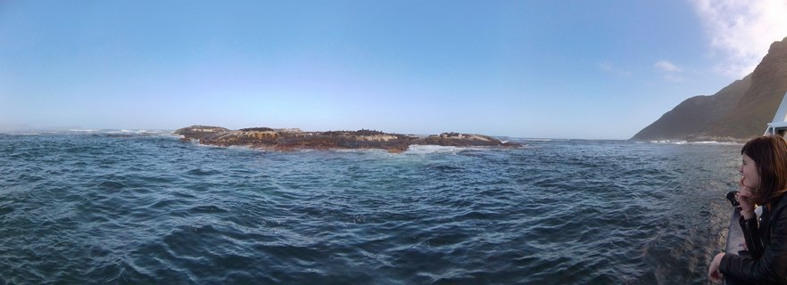 Rocky island covered with seals in blue ocean waters near Cape Town, South Africa, with mountain coastline visible and tourist boat with passenger in foreground