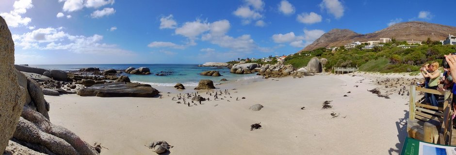 African penguins on white sand beach with turquoise ocean water, large granite boulders, mountains in background, and tourists on wooden viewing platform at Boulders Beach, Cape Town