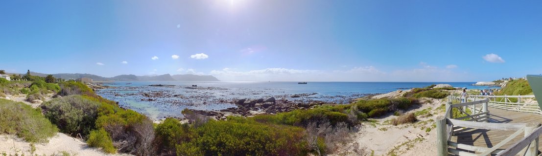 Panoramic view of Cape Town coastline showing rocky shore with kelp, green coastal vegetation, wooden boardwalk with visitors, distant mountains and clear blue ocean under bright sun