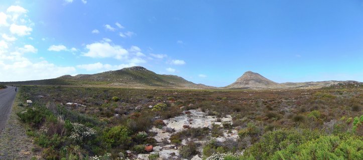 Wide landscape showing Cape fynbos vegetation with rocky mountains in the background, blue sky with white clouds, and a gravel road with a cyclist on the left side