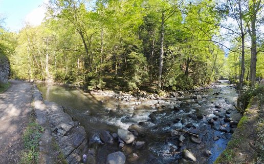 Mountain river with rocks flowing through green forest with dirt path along the bank in Borjomi, Georgia