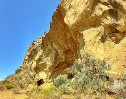 Large golden sandstone cliff with erosion patterns and small cave openings under clear blue sky, with sparse green shrubs at the base