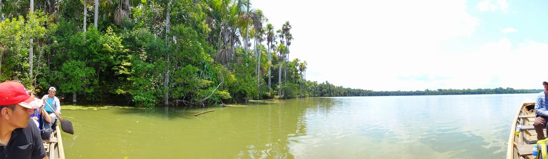 People riding in wooden boats on a green river with dense tropical rainforest and tall palm trees lining the shore under a bright sky