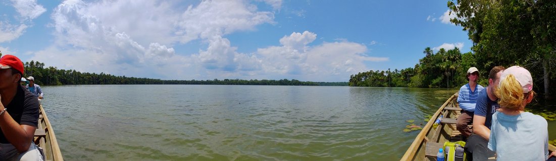 Wide view of tourists in two wooden canoes on an Amazon river with dense tropical rainforest on both banks under blue sky with white clouds
