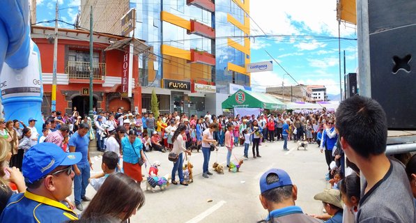 A crowded street festival in Andahuaylas, Peru, with spectators watching people walk dogs in costumes during a parade