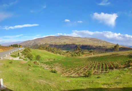 Rolling green and brown agricultural hills in the Peruvian Andes under a blue sky with white clouds, viewed from a highway with a white guardrail in the foreground