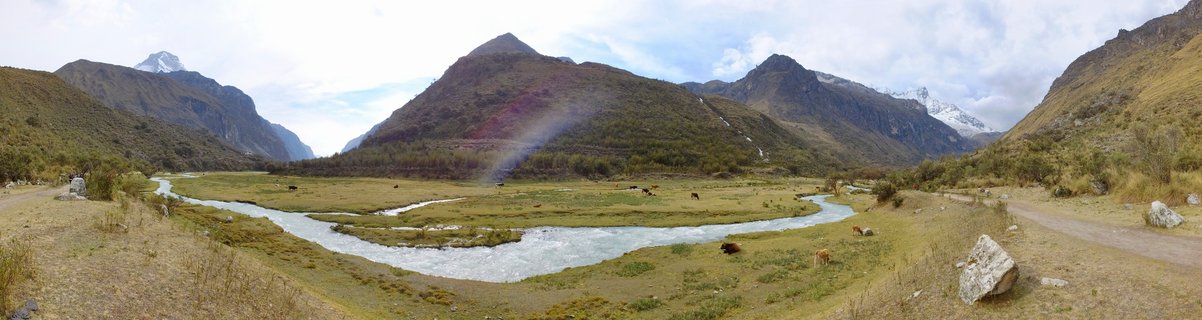 Wide panoramic landscape showing a winding river flowing through a green valley with mountains, grazing cattle, and snow-capped peaks in the background