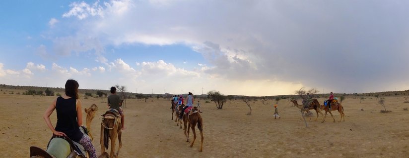 Group of tourists riding camels in a caravan formation across desert landscape with sparse trees under cloudy sky in Jaisalmer, India