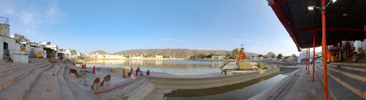 Panoramic view of Pushkar Lake showing stone ghats with pilgrims in colorful clothing, sacred cows grazing, white buildings, and brown hills under blue sky