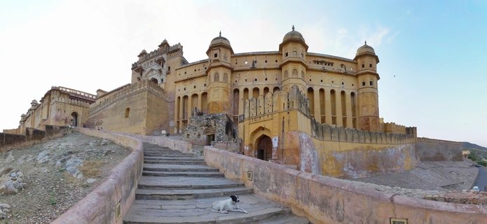 Amber Fort palace in Jaipur, India showing yellow sandstone architecture with multiple domes, fortified walls, stone staircase in foreground with a dog resting on the steps
