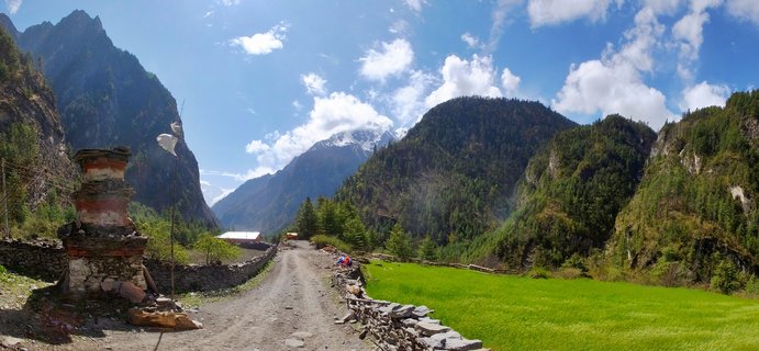 A wide mountain valley in Nepal showing a dirt path with a Buddhist stupa on the left, green fields on the right, forest-covered slopes, and snow-capped peaks in the distance under a blue sky with clouds.