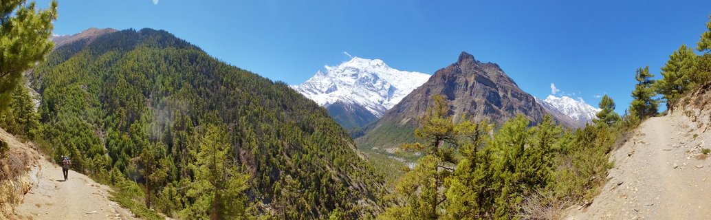 Trekker on mountain trail with snow-capped Annapurna peaks, Pisang-Manang, Nepal