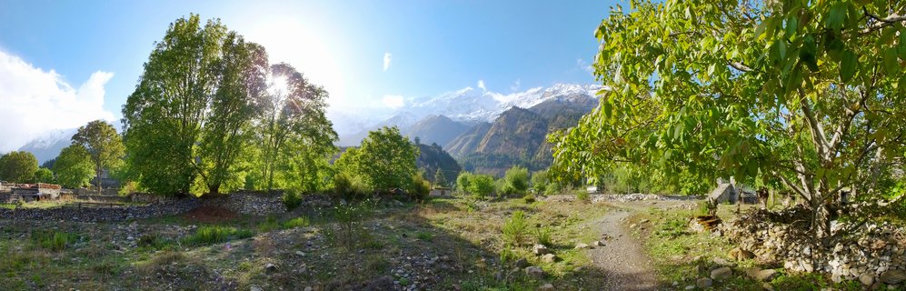 Wide mountain landscape showing snow-covered Himalayan peaks in the distance, green trees in the foreground, stone walls, and a dirt path in rural Nepal
