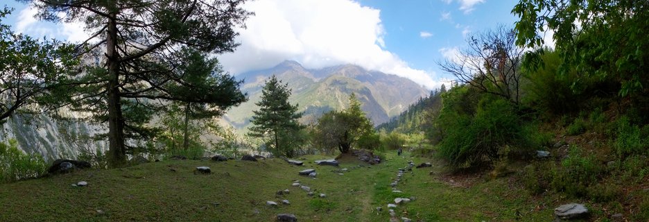 Panoramic mountain landscape showing a stone trekking trail winding through green grass and pine trees toward cloud-covered Himalayan peaks in Nepal's Annapurna region, with a small hiker visible on the path in the distance under a blue sky with white clouds