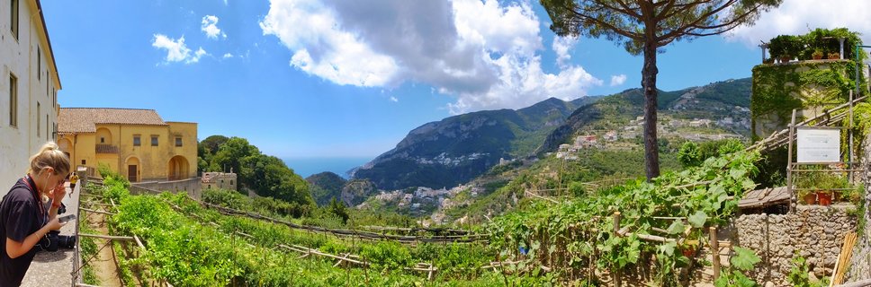 Panoramic view of terraced vineyards with wooden trellises, yellow Italian buildings, stone walls, and mountains overlooking the sea under a blue sky with clouds in Ravello, Amalfi Coast, Italy