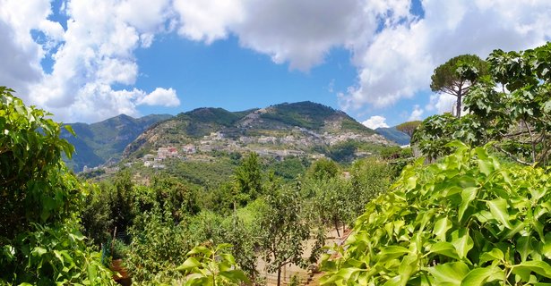 Hillside village with white buildings scattered across green mountain slopes, framed by lush trees in foreground under blue sky with white clouds