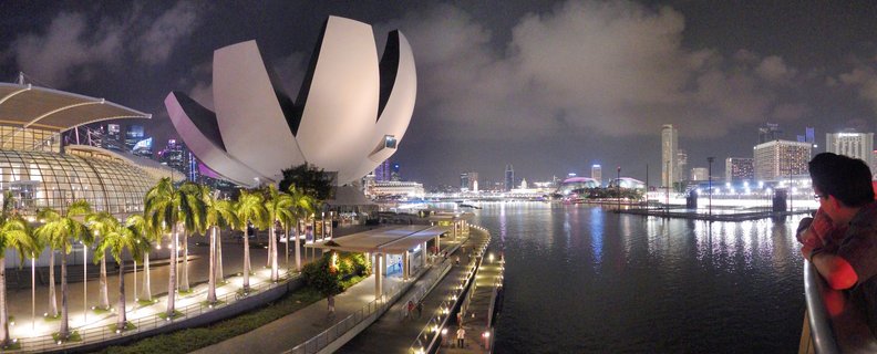Nighttime panoramic view of Singapore Marina Bay showing the white lotus-shaped ArtScience Museum, illuminated palm trees along a waterfront walkway, city buildings across the bay with lights reflecting on water, and a person leaning on a railing in the foreground right