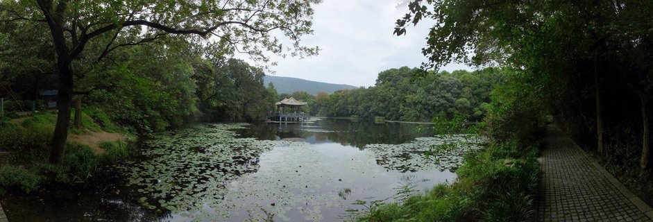 A traditional Chinese pavilion with upturned eaves sits on a calm lake covered with lily pads, surrounded by lush green trees with a paved walkway on the right and hills visible in the background under an overcast sky