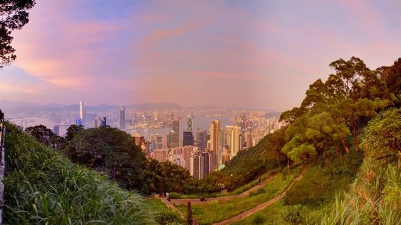 Panoramic view of Hong Kong's dense skyscraper skyline at sunset from Victoria Peak, with green hiking trails and trees in the foreground, Victoria Harbour in the middle ground, and pink-purple sky above