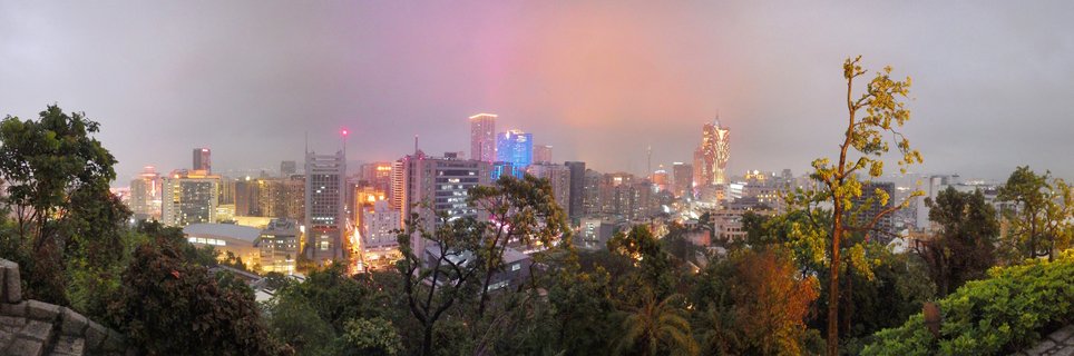 Panoramic view of Macau city skyline at dusk with illuminated skyscrapers, casino hotels including the Grand Lisboa, and foreground trees against a pink-purple twilight sky