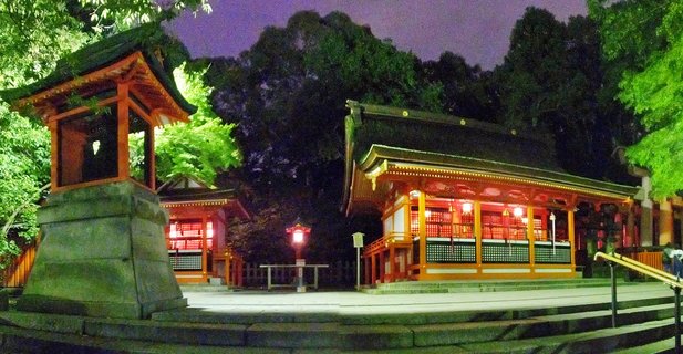 Traditional Japanese shrine buildings with orange-red painted wood and curved roofs illuminated at night, with a stone lantern in the foreground and dark trees in the background