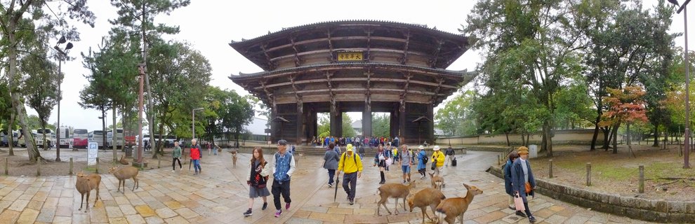 Wide panoramic view of Nandaimon Gate at Todai-ji Temple in Nara, Japan, with tourists walking and sika deer roaming on wet stone pavement, surrounded by trees with autumn foliage