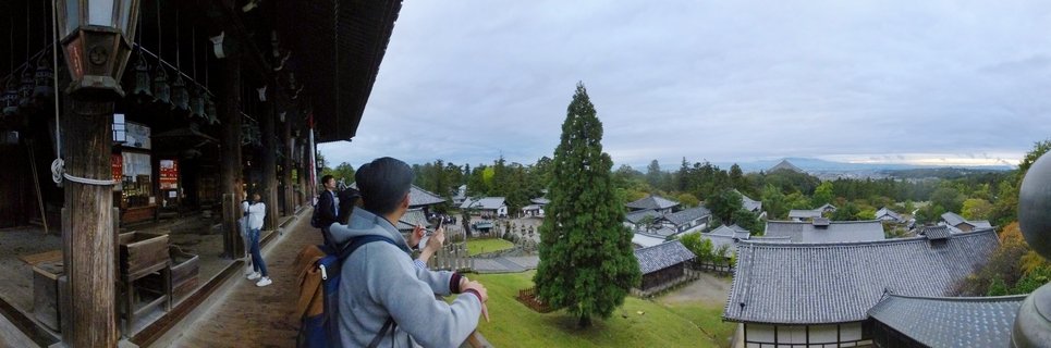Tourists on wooden temple veranda photographing traditional Japanese architecture with tiled roofs, tall evergreen tree, and temple complex gardens