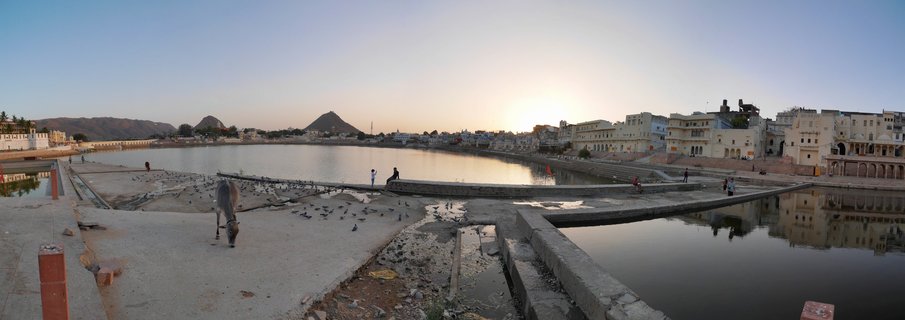 Panoramic view of Pushkar Lake in Rajasthan, India at sunset showing ghats, pilgrims, sacred cow, temples and hills reflected in water