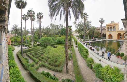 Elevated view of the Alcázar palace gardens in Seville showing manicured hedge mazes, tall palm trees, a rectangular reflecting pool with fountains, and yellow Moorish-style buildings with tourists walking along pathways