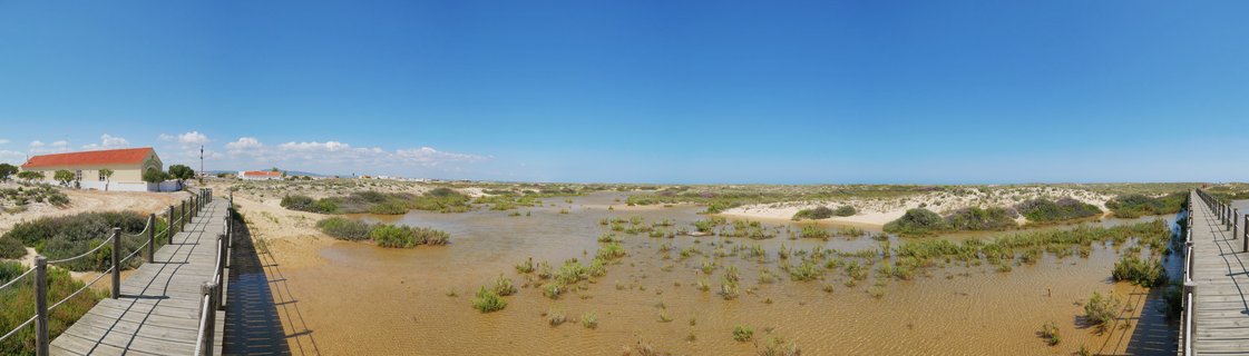 Panoramic coastal wetland with shallow brown water, green aquatic plants, wooden boardwalks on both sides, white building with red roof, sand dunes, and clear blue sky