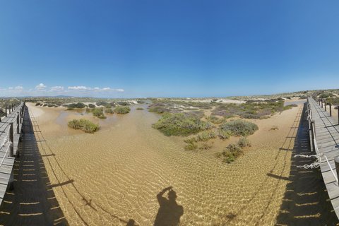 Panoramic view of a wooden boardwalk crossing shallow clear water in a coastal wetland with sand dunes, green vegetation, and blue sky in Culatra, Portugal