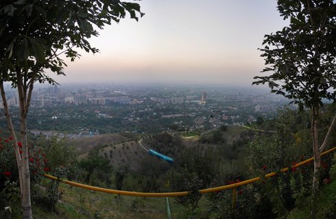 Cityscape of Almaty viewed from hillside with two trees framing the scene, yellow pipe running horizontally, urban buildings extending into hazy distance