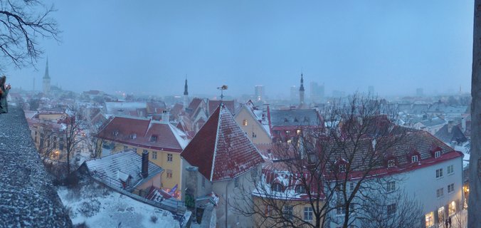 Panoramic cityscape of Tallinn Old Town showing medieval buildings with red-tiled roofs covered in snow, multiple church spires, bare trees, and stone wall foreground during winter twilight