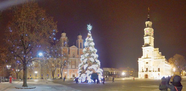Night view of Kaunas Town Hall Square with a large illuminated Christmas tree covered in snow, historic baroque buildings with lit facades, decorated trees with blue lights, and people walking on snow-covered ground