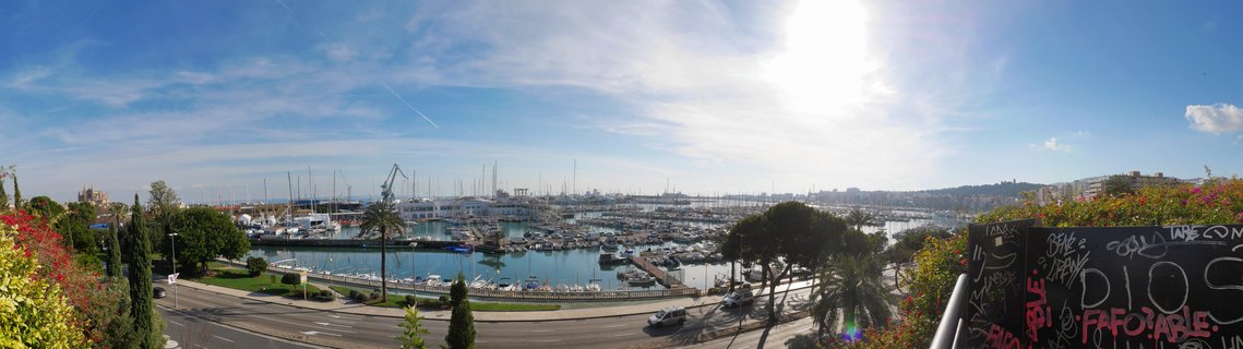 Aerial panoramic view of Port de Palma marina filled with yachts and sailboats, Palma de Mallorca, Balearic Islands, Spain