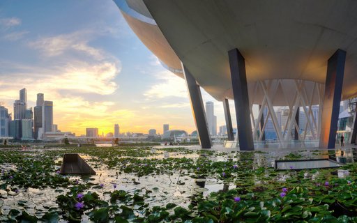 White lotus-shaped ArtScience Museum building at Marina Bay Singapore during sunset, with curved petal-like architecture, foreground pond containing green lily pads and purple water lilies, Singapore city skyline with modern skyscrapers in background, golden hour sky with scattered clouds