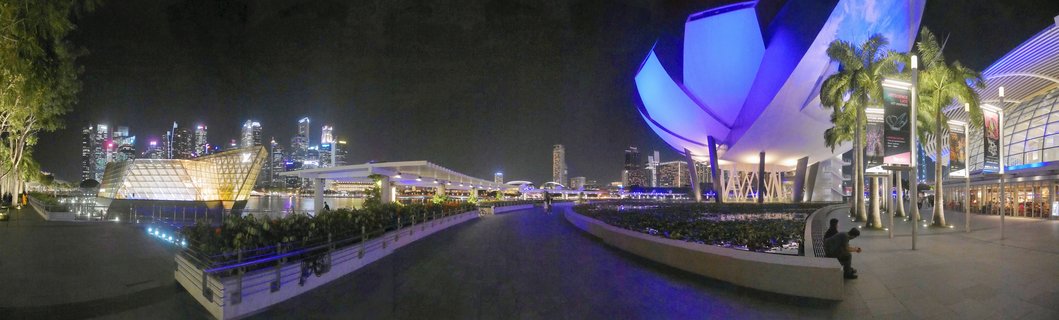 Panoramic night photograph of Singapore Marina Bay showing the blue-lit ArtScience Museum, CBD skyline with illuminated skyscrapers, waterfront promenade with palm trees, and the Esplanade theatre