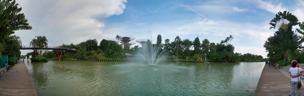 Wide panoramic view of Gardens by the Bay showing a lake with central fountain, iconic Supertree structures in the background, OCBC Skyway bridge with red supports, wooden walkways on both sides with visitors, and lush tropical vegetation under partly cloudy blue sky