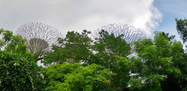 Two Supertree structures at Gardens by the Bay Singapore rise above dense tropical green foliage against a partly cloudy sky with blue patches