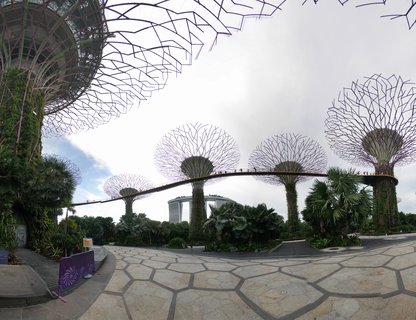 Multiple Supertree structures with metal canopy frameworks connected by an elevated walkway at Gardens by the Bay Singapore, with Marina Bay Sands hotel visible in the background and paved stone walkway in foreground