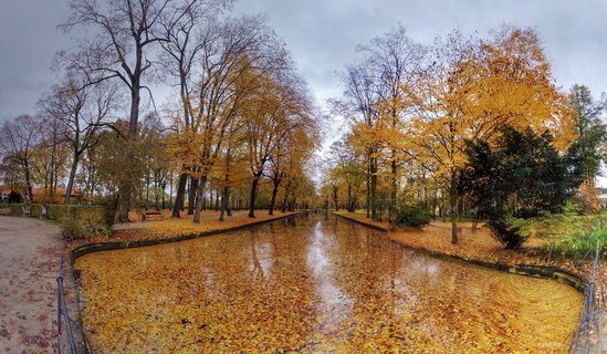 A canal covered in yellow autumn leaves with trees lining both sides under cloudy sky in a German park